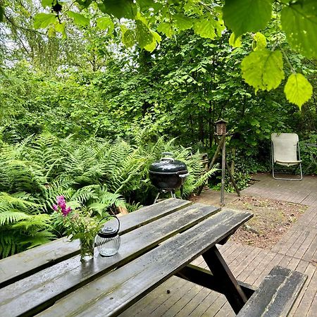 Chalet Scandinave Avec Sauna Ir - In The Woods Gesves Zewnętrze zdjęcie
