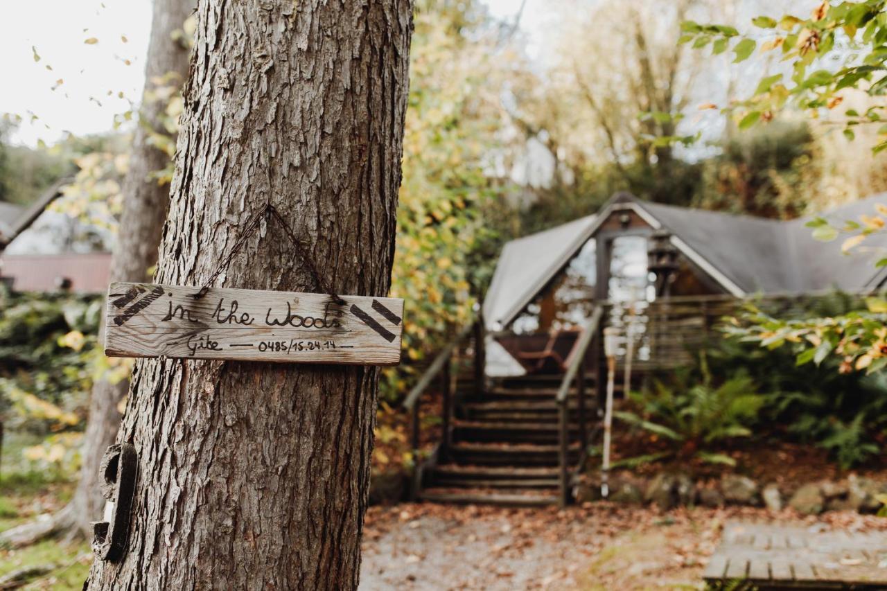 Chalet Scandinave Avec Sauna Ir - In The Woods Gesves Zewnętrze zdjęcie