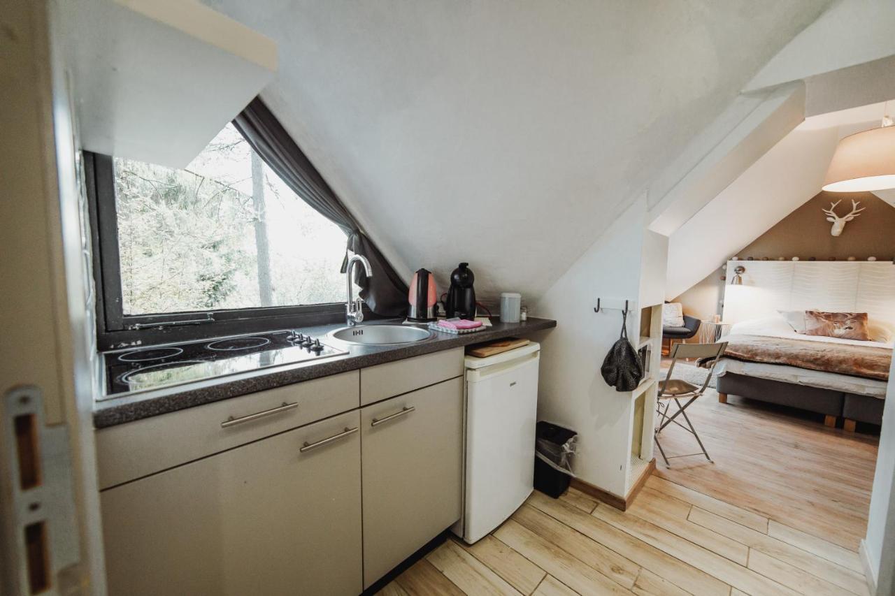 Chalet Scandinave Avec Sauna Ir - In The Woods Gesves Zewnętrze zdjęcie